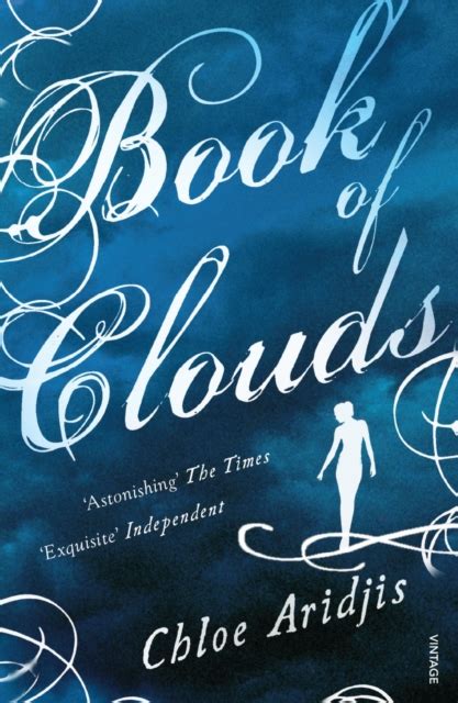 book of clouds chloe aridjis|book of clouds book review.